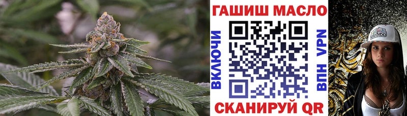 где можно купить   Ленск  ТГК концентрат 