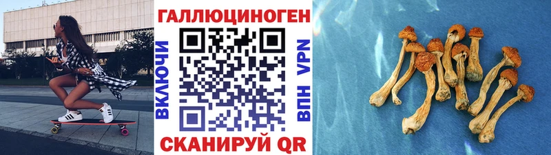 Галлюциногенные грибы Psilocybe  Ленск 